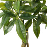 Decorative plant in pot Pachira Inart green D40x60cm - Слика 2