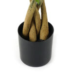 Decorative plant in pot Pachira Inart green D40x60cm - Слика 3