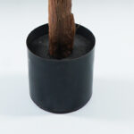 Decorative plant in a pot Musa Inart green D105x180cm - Слика 3