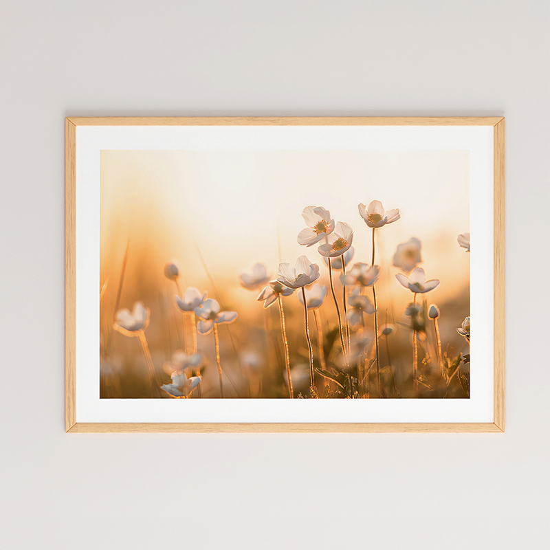 409-000003 Wall art in frame Floraza with digital print 48x1.5x33cm - Image 1