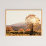 Wall art in frame Vila with digital print 48x1.5x33cm