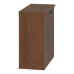 Professional low cabinet Fesialo wenge 80x41x80cm - Слика 5