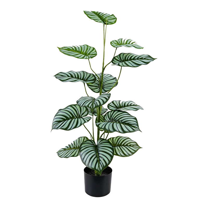Decorative plant in a pot Oleanthy green 45x38x100cm Decorative plant in a pot Oleanthy green 45x38x100cm - Image 1